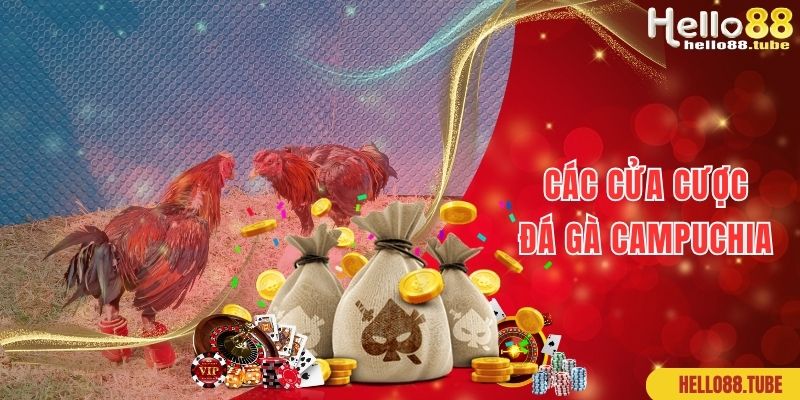 Đá Gà Campuchia Thiên Đường Kiếm Tiền Không Giới Hạn 2 Các cửa cược phổ biến của đá gà Campuchia online