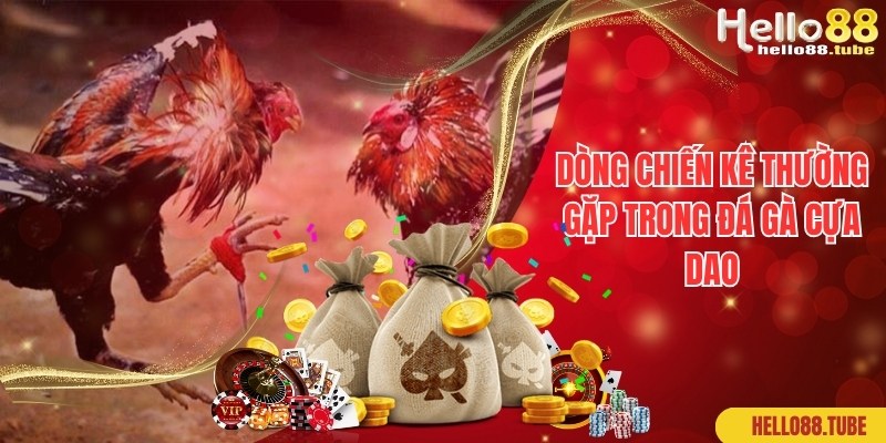Đá Gà Cựa Dao - Hình Thức Thi Đấu Thịnh Hành Top 1 Hiện Nay 3 Dòng chiến kê được sử dụng phổ biến trong đá gà cựa dao