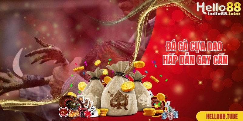 Đá Gà Cựa Dao - Hình Thức Thi Đấu Thịnh Hành Top 1 Hiện Nay 1 Bật mí thông tin giới thiệu chung về loại hình đá gà cựa dao