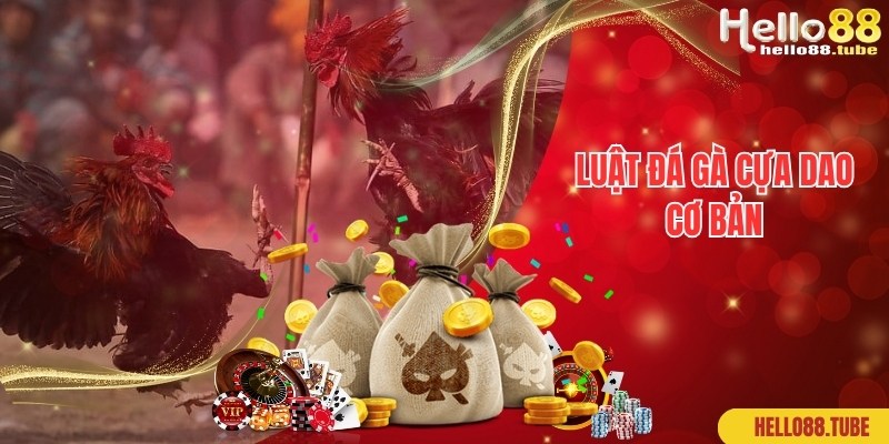 Đá Gà Cựa Dao - Hình Thức Thi Đấu Thịnh Hành Top 1 Hiện Nay 2 Luật đấu đơn giản, hấp dẫn áp dụng trong đá gà cựa dao