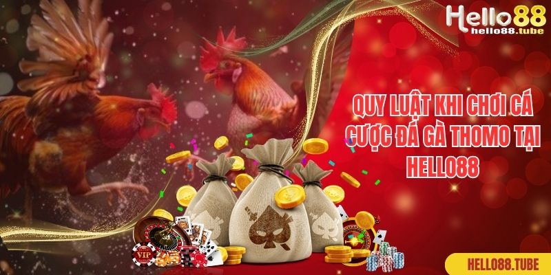 Đá Gà Thomo - Sảnh Cược Hấp Dẫn Nhất Của Nhà Cái Hello88 3 Quy luật khi chơi cá cược đá gà Thomo tại Hello88